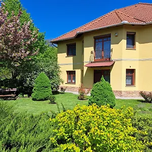 Voelgy Eger